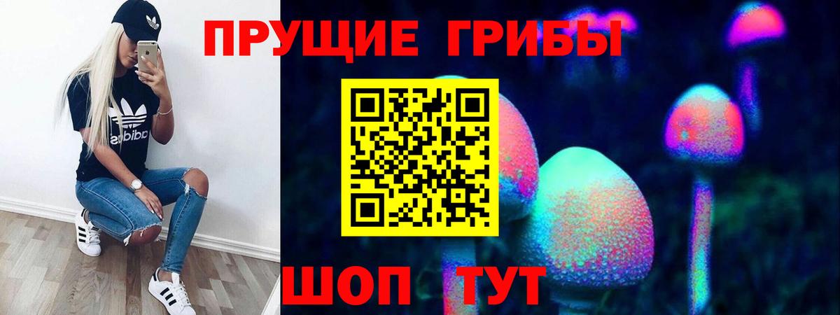 Галлюциногенные грибы мицелий  Вход с VPN  Галлюциногенные грибы GOLDEN TEACHER  Гагарин 